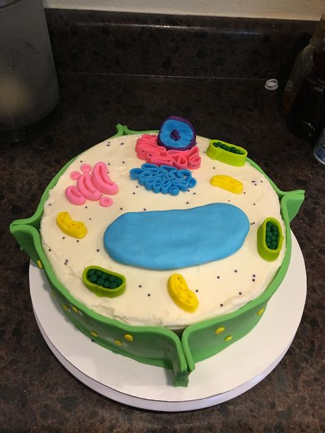 Plant Cell Cake Model, Cell Cake Project, Biology Cake, Plant Cell Cake, Edible Cell Project, Cell Cake, Plant Cell Project, Edible Cell, Biology Project