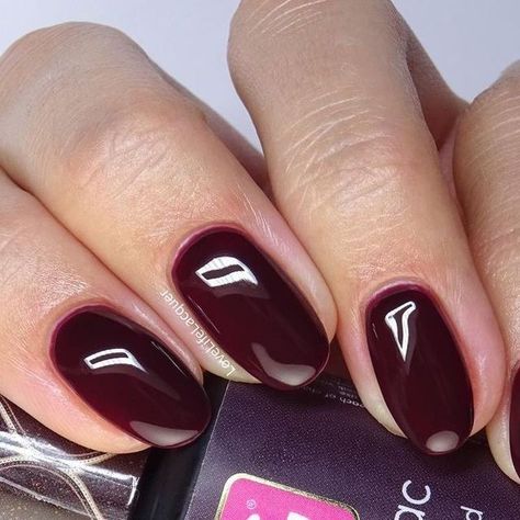 Pink Gellac Official on Instagram: "Proost op deze rijke, donkerrode tint met diepbruine ondertonen en een creamy finish ✨ #332 Sangria Red 🍷 Post jouw Pink Gellac manicure online en tag ons! 💅 Repost by @lovelifelacquer" Sangria Red, Pink Gellac, Red Sangria, January 19, Sangria, Red Nails, Stylish Nails, Manicure, Nails