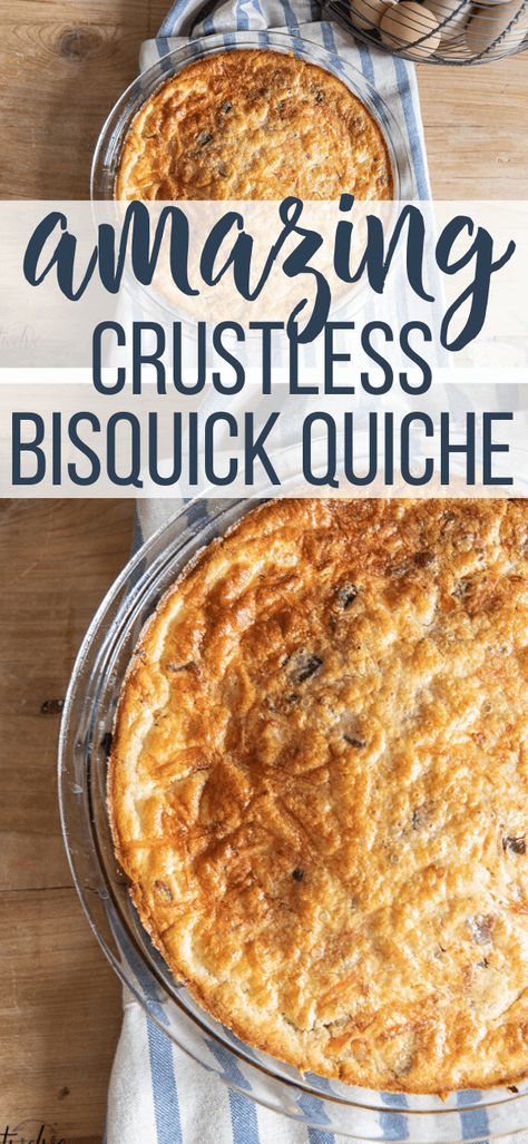 Quiche With Bisquick, Best Tortilla Soup Recipe, Bisquick Quiche, Quiche Crustless, Quiche Easy, Quiche Recipes Crustless, Crustless Quiche Recipe, Vegetarian Quiche Recipes, Best Egg Recipes