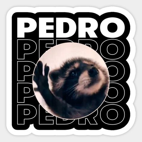 Pedro the Raccoon is a popular meme sticker. Use this sticker to add some fun and personality to your messages. #PedrotheRaccoon #MemeStickers . #Pedro_Raccoon #Raccoon_Meme #Hard_Hat_Stickers #Astronaut_Wallpaper Pedro Raccoon, Custom Car Stickers, Raccoon Meme, Hard Hat Stickers, Astronaut Wallpaper, Cute Disney Drawings, Bike Stickers, Zombie T Shirt, Iphone Case Stickers