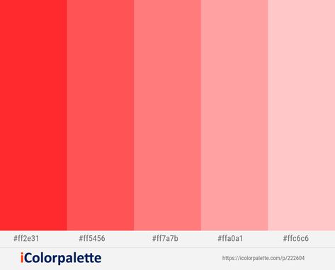 Red Orange – Persimmon – Salmon – Sweet Pink – Your Pink Color scheme | iColorpalette | Red colour palette, Pink color schemes, Color palette yellow Maroon Color Palette, Mint Color Palettes, Tomato Tomato, Red Salmon, Color Palette Yellow, Pinterest Wedding, Brand Shoot, Pink Color Schemes, Red Colour Palette