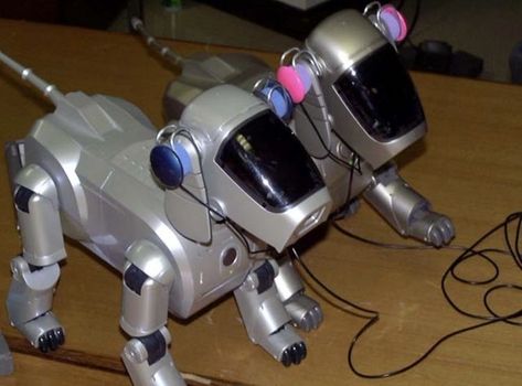 Robot Dog, Nostalgia Core, Retro Gadgets, Y2k Vibes, A Robot, Gadgets And Gizmos, Dark Horse, Toy Boxes, Motherboard