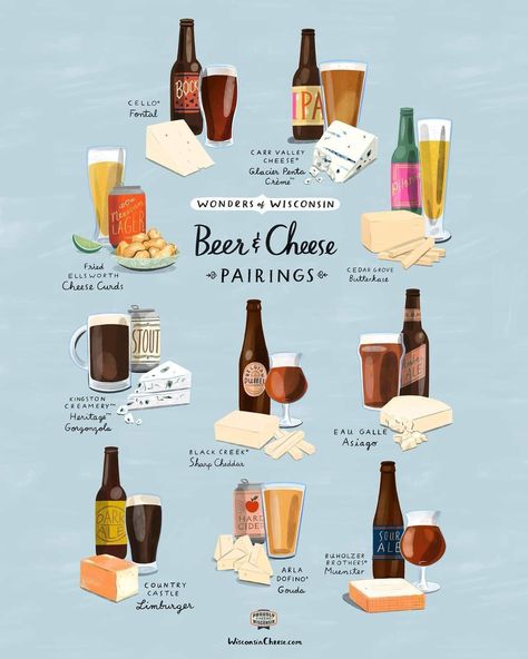 Beer Spa, Beer Pairing, Hosting Essentials, Wisconsin Cheese, Cheese Pairings, Cheese Curds, Beer Cheese, Wine Food Pairing, Lager Beer