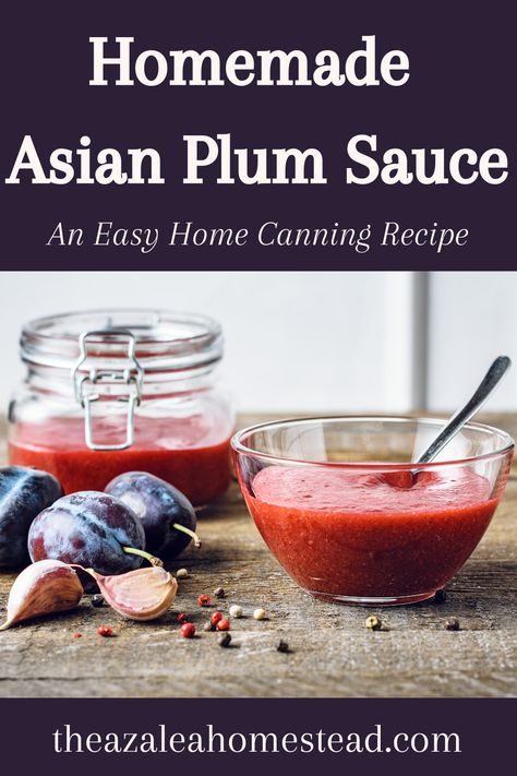 Homemade Asian Plum Sauce Asian Plum Sauce Canning, Asian Plum Sauce Recipe, Canning Plum Sauce, Plum Jam Recipes For Canning, Preserving Plums, Plum Canning Recipes, Plum Sauce Canning Recipe, Canning Plums, Plum Sauce Recipe