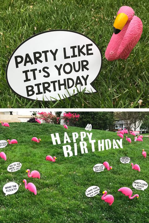 Free printable birthday yard signs.  We've taken the flocked flamingos to a whole new level with these fun birthday speech bubbles. Plastic flamingos are available at the dollar store. Decorate Yard For Birthday, 21st Birthday Yard Decorations, Diy Yard Signs Stakes, Yard Birthday Decorations, Front Yard Birthday Decorations, Birthday Lawn Decorations, Birthday Yard Decorations, You've Been Flocked, Diy Flamingo