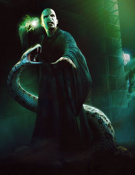 Voldemort Voldemort Wallpaper, Nagini Harry Potter, Lord Voldemort Tom Riddle, Harry Potter Lord Voldemort, Harry Potter Phone, Harry Potter Voldemort, Socks Aesthetic, Harry Potter Images, Images Harry Potter