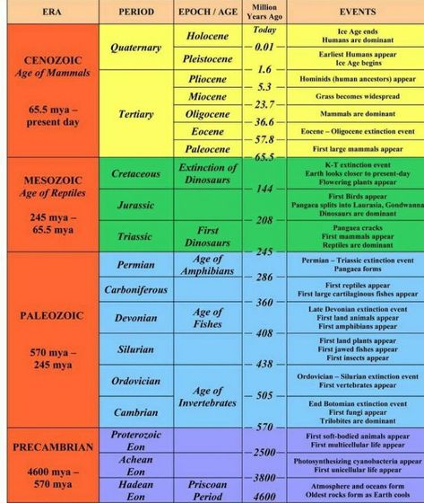 Geological time scale Geological Time Scale Timeline, Earth Science Experiments, Elementary Earth Science, Geology Lessons, Earth Science Middle School, Science Wallpaper, Earth Science Projects, Aesthetic Earth, Earth Science Activities