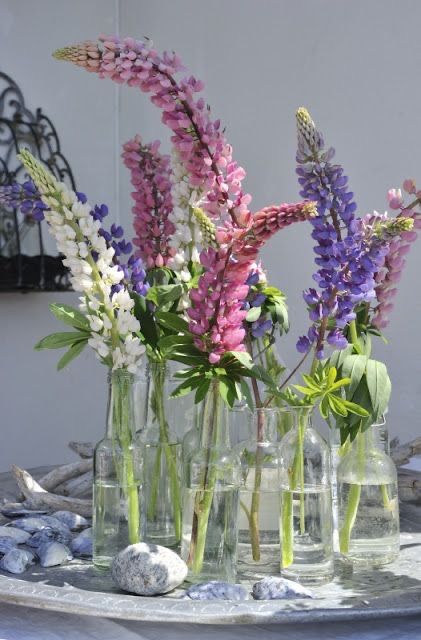 Lupine Flowers, Flower Cottage, Flowers In Jars, Colorful Bouquet, Wedding Wreaths, Lake Wedding, Center Pieces, Backyard Wedding, Nordic Style