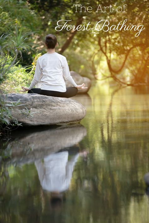 Forest Bathing Therapy: A Newfangled Word for an Old Fashioned Concept Outfit Magazine, Nature Healing, Shinrin Yoku, Simple Look, Relaxing Yoga, Forest Bathing, Forest Garden, Sport Photography, Grad School