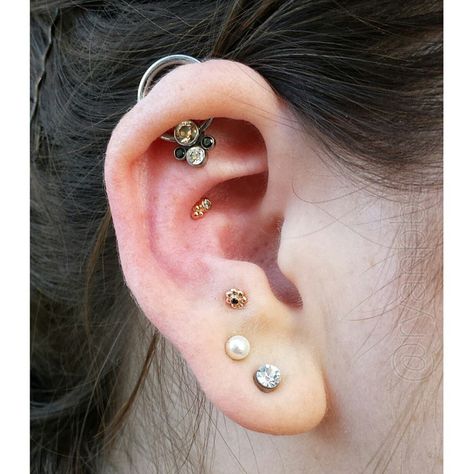 An interesting mix of neat jewelry and unique anatomy. Helix orbital, upper conch, anti tragus. #ryanpba #piercings #appmember #bvla #anatometal Orbital Helix Piercing, Upper Conch Piercing, Helix Orbital Piercing, Ear Aesthetic, Piercing Art, Orbital Piercing, Piercings Ideas, Anti Tragus, Piercing Inspo