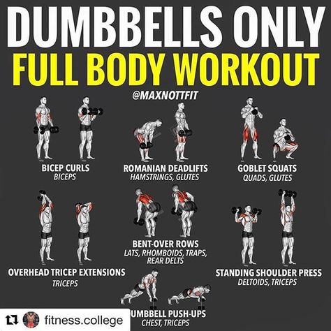 Here are some easy workout moves you can do with just dumbbells. No major weight machine or free weight set needed here! Start small and progressively work your way up. . . . . . #keepitsimple #dumbbells #workout #betterthannothing #getfit #addcardio #livehealthy #livefit #fullbodyworkout #eathealthy #totalwellness #optimalhealth #nutrionist #chiropractor #wellnesscenter #greensboroga #eatontonga #milledgevillega #madisonga #lakeoconee Best Home Dumbell Workout, At Home Workouts For Men Dumbbells, Dumbell Home Workout For Men, Dumbbells Only Workout, Weight Training With Dumbbells, Home Workouts For Men Dumbell, Workout With Dumbbells Men, Home Dumbell Workout Men, Men’s Dumbbell Workout