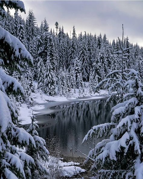 Snoqualmie Pass Washington, Winter In Washington State, Winter Core, Puzzle Pictures, Aesthetic Places, Evergreen State, Mount Washington, Mount Rainier National Park, Talking Tom