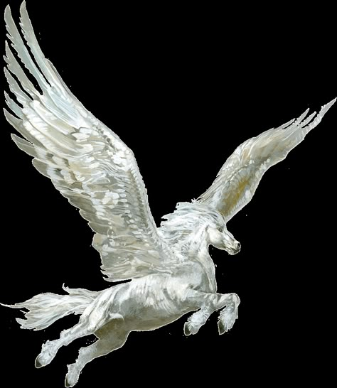 The white winged horses known as pegasi soar through the skies, a vision of grace and majesty. Pegasus Tattoo Mythology, Pegasus Drawing, Horse With Wings, Pegasus (mythology), Pegasus Tattoo, Greek Monsters, Pegasus Art, Horse Tattoo Design, Feathered Wings