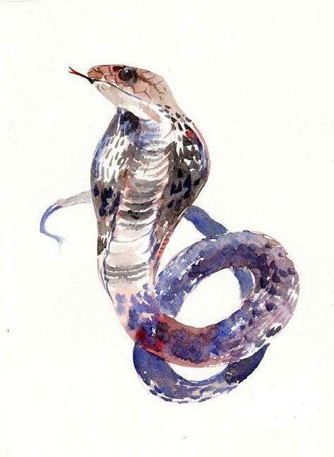 King Kobra snake watercolor painting, Try it yourself. #snake #snakedrawing #snakepainting #color #art #drawing #easydrawing #animaldrawing #easydrawingclub #artwork #creativedrawing #creativeart #reptiledrawing #snakes #snakepainting #painting #creativepainting Snake Watercolor, Snake Wall Art, Art Snake, Snake Painting, Snake Illustration, Snake Drawing, Easy Drawing Steps, Cobra Snake, Snake Art