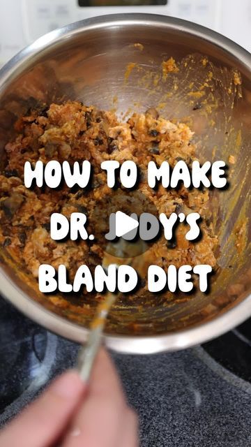 Bland Diet Recipes, Bland Diet, Cat Nutrition, Help Digestion, Dog Nutrition, Food Therapy, More Recipes, Healthy Pets, Homemade Dog Food