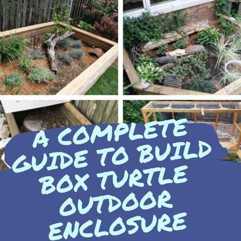 For many box turtle species, an outdoor pen is the best. I have been keeping box turtles for many years, and I have tried both outdoor and indoor habitat for them. From my experience, I know how to build an outdoor pen, what problems we can face, and how to solve them. Turtle Homes Ideas Outdoor, Turtle Enclosure Outdoor, Box Turtle Habitat Outdoor, Box Turtle Habitat Indoor, Outdoor Turtle Habitat, Box Turtle Enclosure, Turtle Setup, Box Turtle Habitat, Tortoise Terrarium