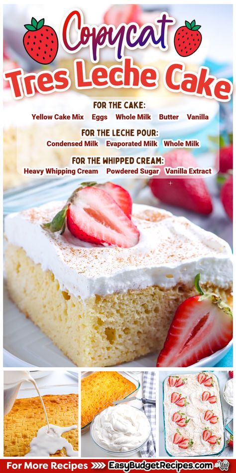 This Easy Tres Leches Cake is made using a box cake mix and other kitchen and pantry staple ingredients. It’s a crowd-pleasing cake that takes a minimum of time and effort. Desserts To Make With Box Cake, Boxed Cake Mix Tres Leches, Tres Leches Cake Frosting, Pioneer Woman Tres Leches Cake, Tres Leches Dump Cake, Boxed Cake Tres Leches, The Best Tres Leches Cake Recipe, Vanilla Tres Leches Cake Recipe, Ina Garten Tres Leches Cake