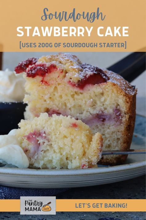 A delightfully simple and sweet strawberry cake made with sourdough starter, fresh strawberries and simple pantry ingredients. It makes a delicious dessert served warm from the oven or as an afternoon treat dusted with icing sugar. Sourdough Discard Strawberry Cake, Sourdough Birthday Cake Recipe, Sourdough Strawberry Cake, Sourdough Pound Cake, Active Sourdough Starter Recipes, Strawberry Cake With Fresh Strawberries, Sourdough Cakes, Chicago Recipes, Sourdough Strawberry