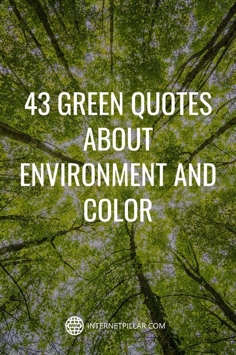 43 Green Quotes About Environment and Color - #quotes #bestquotes #dailyquotes #sayings #captions #famousquotes #deepquotes #powerfulquotes #lifequotes #inspiration #motivation #internetpillar Quotes About The Color Green, Quotes On Green Colour, Environment Quotes Inspirational, Green Motivational Quotes, Green Nature Captions Instagram, Quotes About Environment, Quotes About Green, Moss Quotes, Green Color Quotes