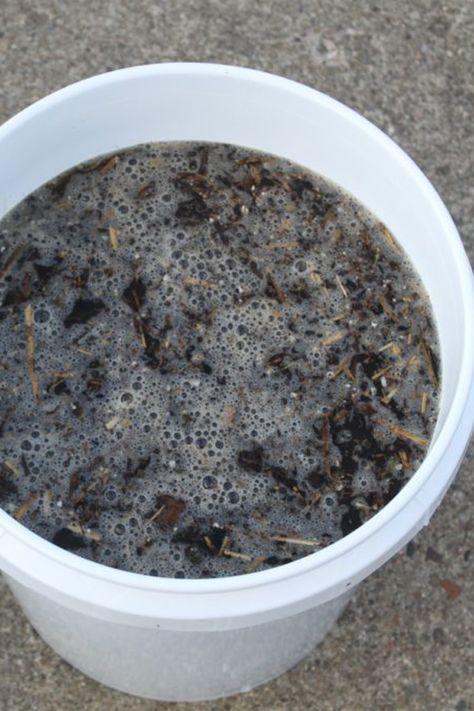 Tea Fertilizer, Compost Tea Recipe, Chicken Composting, Home Made Fertilizer, Manure Tea, Organic Liquid Fertilizer, Make Compost, Mushroom Compost, How To Make Compost