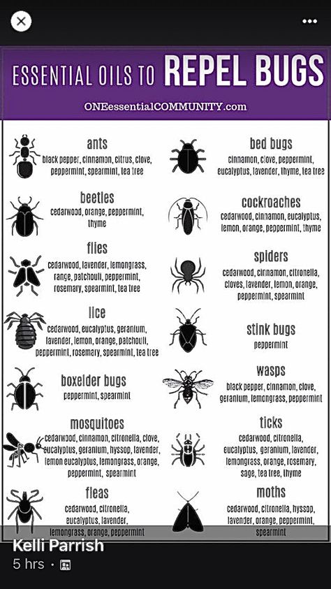 Different Type Of Bug Bites, Bug Bite Identification Chart, Bug Bites Identifying, Types Of Bug Bites, Writing Motivation, Bug Bites, Faith Quotes, Svg Files, Bugs