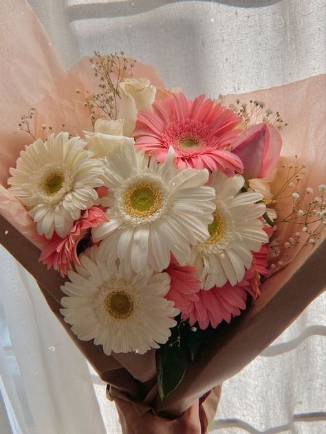 Gerbera Bouquet Aesthetic, Bouquet Of Gerberas, Gerbera Daisy Aesthetic, Ramo Aesthetic, Gerbera Arrangement, Gerbera Flower Bouquet, Gerberas Bouquet, Daisy Flower Bouquet, Daisies Bouquet