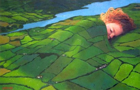 The safe quilt of Ireland!    And O, my child,   what cozier nest  for rosier rest  could love have found you? Irish Quilt, Irish Things, Celtic Pride, Irish Countryside, Irish Landscape, Erin Go Bragh, County Cork, Slaap Lekker, Irish Pride