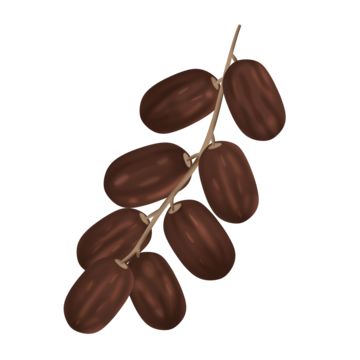 Dates Illustration, Date Cartoon, Happy Iftar, Dates Ramadan, Iftar Food, Dates Fruit, Ajwa Dates, Food Dates, Iftar Time