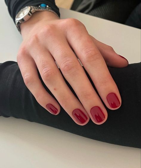 Summer Red Nails, Night At The Opera, Summer Nail Colors, A Night At The Opera, Minimal Nails, Casual Nails, Nails Only, Red Nail, Shellac Nails