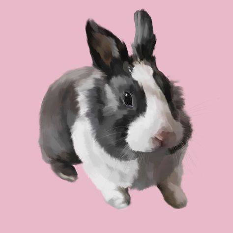 Cute custom pet portrait commission rabbit painting animal painting cute adorable on pink background. Procreate tutorials Painting Digital, Rabbit Painting, Pet Portrait Painting, Animal Portraits Art, Digital Portrait, Custom Pet Portraits, Animal Photo, Cute Bunny, Portrait Painting