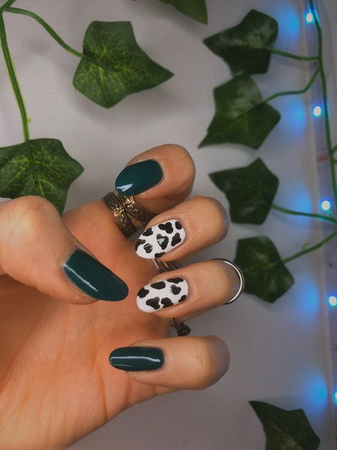 Some aesthetic cow print nails i did between some green nails 💅🏻 Green And Cow Print Nails, Green Cow Print Nails, Cow Print Nails Short, Aesthetic Coffins, Aesthetic Cow Print, Green Cow Print, Country Acrylic Nails, Aesthetic Cow, Cow Print Nails