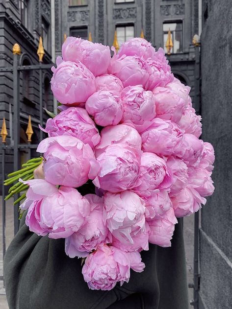 Peonies Aesthetic, Detective Theme, Babka Recipe, Peony Colors, Flowers Peonies, Peonies And Hydrangeas, Boquette Flowers, Flower Gift Ideas, Modern Flower Arrangements