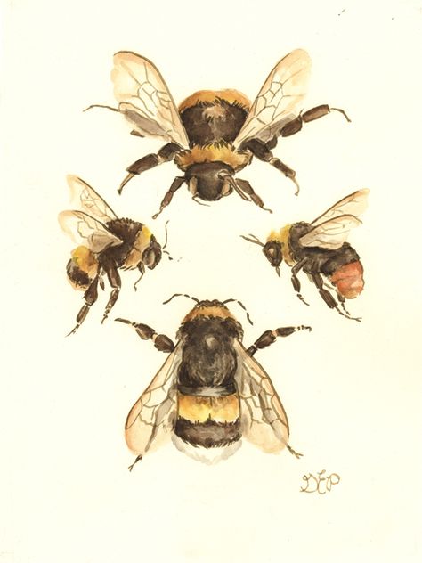 The Flight of the Bumblebee — Gretchen Ellen Powers Flight Of The Bumblebee, Scientific Art, Bee Drawing, Bumble Bee Print, Bee Illustration, Victorian Paintings, Vintage Bee, Illustration Botanique, Bee Tattoo