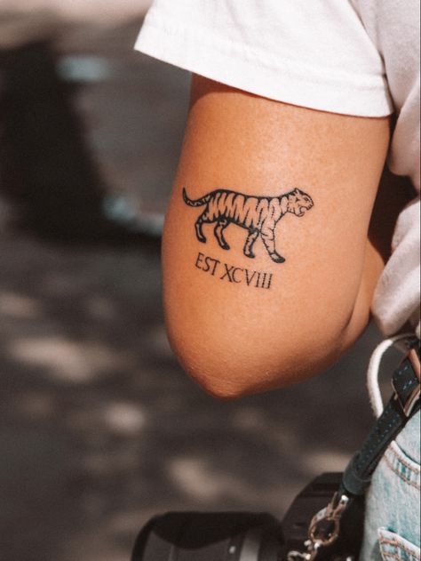 A tiger walking in the right direction with the script of “established 1998” below it. Tiger Neck Tattoo Men, Animal Pfp Aesthetic, Animal Pfp Funny, Pfp Animal, Animal Wallpaper Aesthetic, Animal Character Design, Character Pfp, Animal Pfp, Tiger Face Tattoo