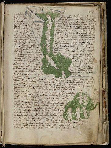 There is a 600-year-old book written in an unknown language, containing peculiar illustrations of unknown species (plant and animal). The Voynich manuscript, discovered in 1912 and named after the book dealer who acquired it, contains chapters on herbs, biological systems, astrological and astronomical passages, and fantastical oddities — at least we think, because no one has been able to decipher its 240 pages. Voynich Manuscript, Mysteries Of The World, Handwritten Text, Alan Turing, Aleister Crowley, Medieval Manuscript, University Of Arizona, Old Book, Illuminated Manuscript