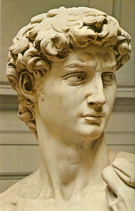 Statue Of David Painting, David Michelangelo Drawing, Michaelangelo David, David Head Sculpture, David By Michelangelo, Michelangelo Sculpture, Michelangelo David, David Michelangelo, David Sculpture