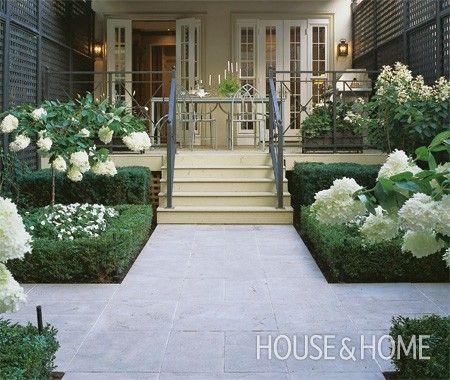 White Landscaping, Boxwood Landscaping, Hydrangea Tree, Landscape Gardening, Formal Garden, Moon Garden, Have Inspiration, Formal Gardens, Landscape Designs