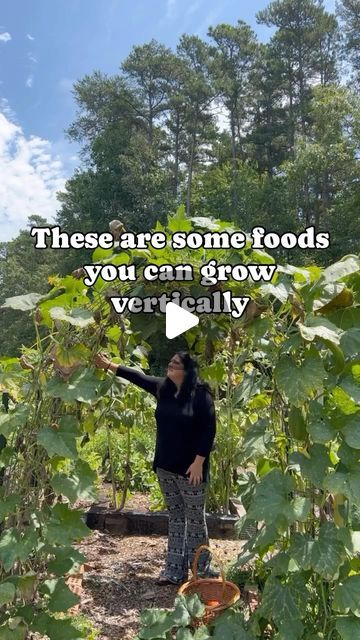 Amber Benge 🌻 Grace Walk Farm on Instagram: "Vertical gardening allows us to grow so much more food in a small backyard space. What vegetables and fruits do you grow vertically? What are your favorite garden trellises? Let’s share some ideas! 

✨2 DAYS LEFT to get into Garden School for over 50% off. Comment GROW FOOD and I’ll send you a DM with details. 

#verticalgardening #verticalgarden #verticalfarming #gardentrellis #gardenarch #gardenarchitecture #marketgarden #marketgardening #homesteadgarden #gardeningideas #organicgardener" Vertical Fruit Garden, Vege Garden Trellis, Vertical Food Garden, Vege Garden Ideas, Grow Vertically, Garden School, Vertical Vegetable Gardens, Pallet Projects Garden, Arch Trellis