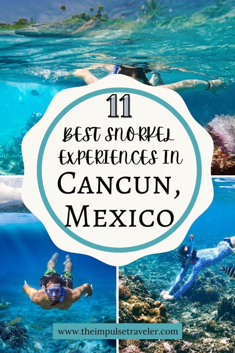 Looking for the best snorkeling tours in Cancun, Mexico? You've come to the right place! Here are 11 of the top-rated snorkeling tours in Cancun, all with amazing reviews from previous guests. Cancun Snorkeling, Cancun Travel Guide, Cancun Travel, Cancun Vacation, Cancun Trip, Cancun Resorts, Cancun Hotels, Best Snorkeling, Remote Island