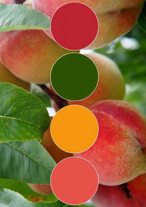 Papaya Color Palette, Mango Color Palette, Fruit Color Palette, Colour Pallettes, Fruit Nails, Color Catalog, Color Schemes Colour Palettes, Colour Combos, Color Play