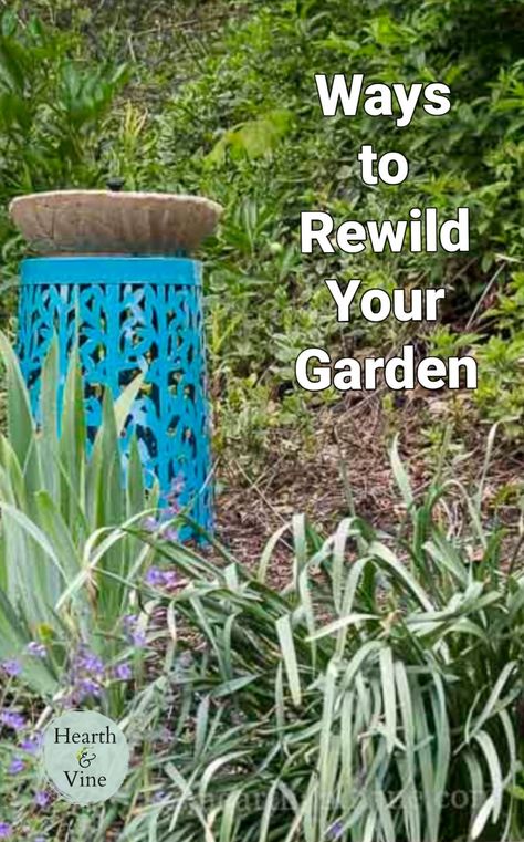 Wilding Garden, Wild Landscaping, Rewilding Garden, Wild Garden Ideas, Natural Gardens, Homesteading Diy, Wild Garden, Garden Harvest, Wildlife Gardening