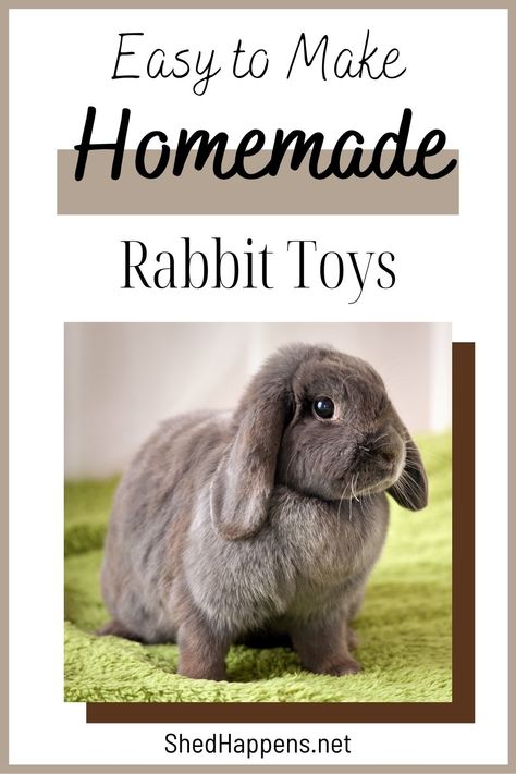 A grey lop-eared rabbit standing on a green blanket in front of a beige backdrop. Text states 'easy to make homemade rabbit toys'.