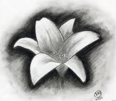 Easy Charcoal Drawings, Hur Man Ritar Blommor, Cute Flower Drawing, Beginner Sketches, Easy Flower Drawings, Pencil Drawings Of Flowers, Shading Drawing, Flower Drawing Design, Charcoal Drawings