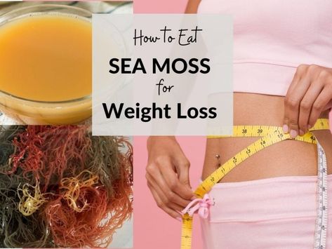 What Is Sea Moss, Loss Images, Weght Loss, Seamoss Benefits, Irish Sea Moss, Alkaline Vegan, Irish Moss, Irish Sea, Finding Dory