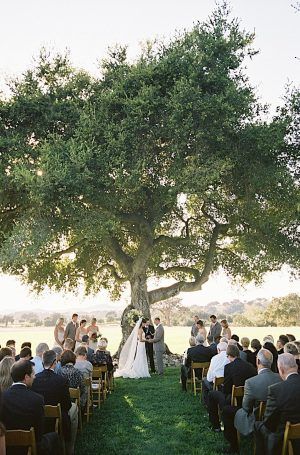 Santa Ynez Wedding by Jose Villa II Wedding Arch Alternative, Tree Wedding Ceremony, Wine Barrel Wedding, Santa Ynez Wedding, Barrel Wedding, Yosemite Wedding, Wedding Decor Inspiration, Outdoor Wedding Decorations, Rustic Chic Wedding