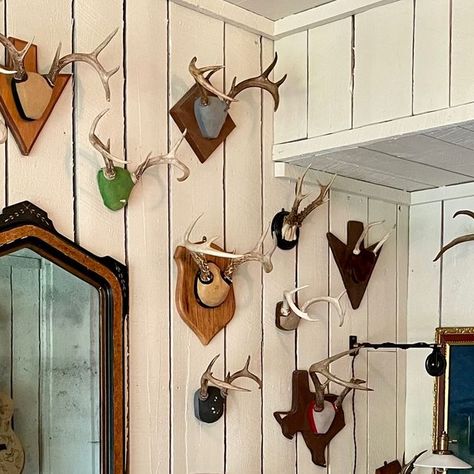 FRAN KEENAN DESIGN on Instagram: "Who doesn’t love a collection?!? This wall of small horns we did in the entry foyer at our @timpublishing project really “snags” you when you walk in… 😏😆LOL  #frankeenandesign #interiordesign #walldecor #entryway #foyerdesign #nashvilleinteriors" Antler Fireplace Decor, Gallery Wall With Antlers, Antler Gallery Wall, Antlers On Wall, Deer Hide Decor, Antler Display Ideas, Antler Mount Ideas, Fran Keenan, Artifact Display