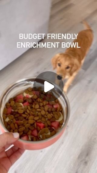 213 likes, 66 comments - boscodixon on July 19, 2024: "Would you make this for your dogs? Would they eat it?
Over the past year, we’ve tried so many different things to make sure that Bosco is happy and both mentally/ physically stimulated so he doesn’t get bored and eat all of our shoes! So far not one! 
Especially in the summer, we really like these frozen lick bowls. They take him for a while to eat and we love that we can kind of “meal prep” them and then just store them in the freezer for w Yogurt Banana, Dog Enrichment, Dog Nutrition, Things To Make, Budget Friendly, Meal Prep, Frozen, The Past, Bowl