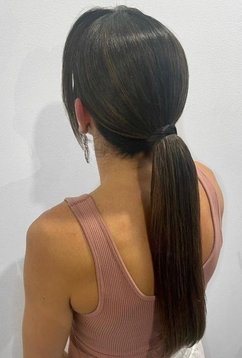 Sleek Ponytail Hairstyle Easy Straight Hairstyles, Faux Braids, French Braid Updo, Hairstyles For Straight Hair, Straight Hairstyles Medium, Sophisticated Hairstyles, Sleek Ponytail Hairstyles, Fine Straight Hair, Ponytail Hairstyle