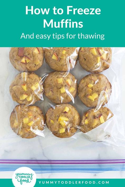 Learn how to freeze muffins to ensure they are just as good as fresh baked. With tips on storage bags and how to thaw and heat muffins, too. Healthy Muffins To Freeze, Muffin Freezer Recipes, Freezer Blueberry Muffins, Make Ahead Muffins To Freeze, Freezing Muffins Best Way To, Muffins That Freeze Well, Banana Muffins Freezer Friendly, Muffins Freezer Friendly, Freezer Friendly Muffins