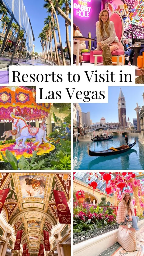 Resorts to Visit in Las Vegas – Olivia Michelle Day Trips From Las Vegas, Las Vegas Trip Planning, Vegas Trip Planning, What Happens In Vegas, Las Vegas Outfit, Las Vegas Vacation, The Hangover, Vegas Vacation, Get Crazy